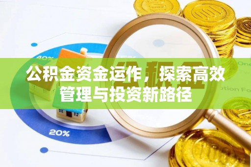 元阳公积金资金运作，探索高效管理与投资新路径