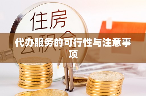 元阳代办服务的可行性与注意事项