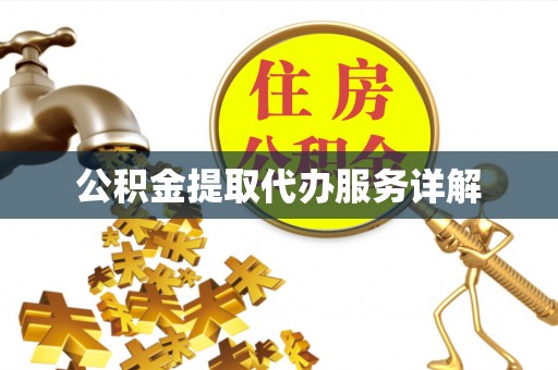 元阳公积金提取代办服务详解