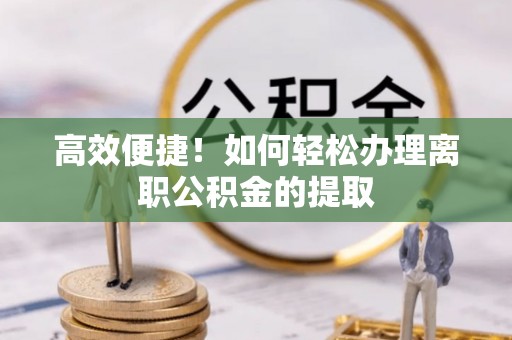 元阳高效便捷！如何轻松办理离职公积金的提取