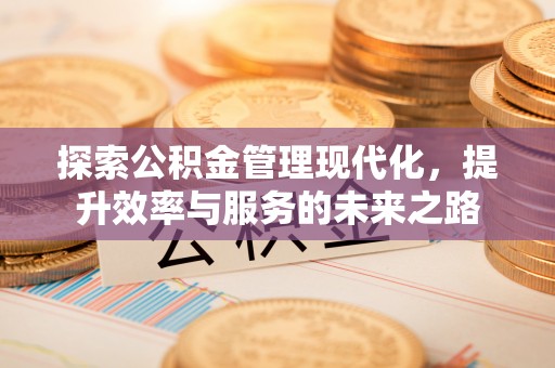 元阳探索公积金管理现代化，提升效率与服务的未来之路