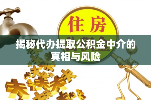 元阳揭秘代办提取公积金中介的真相与风险