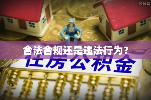 元阳合法合规还是违法行为？