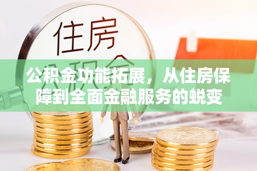 元阳公积金功能拓展，从住房保障到全面金融服务的蜕变