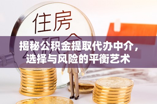 元阳揭秘公积金提取代办中介，选择与风险的平衡艺术
