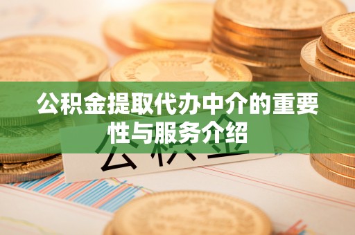 元阳公积金提取代办中介的重要性与服务介绍