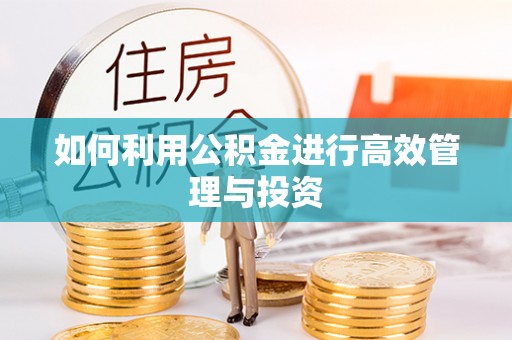 元阳如何利用公积金进行高效管理与投资