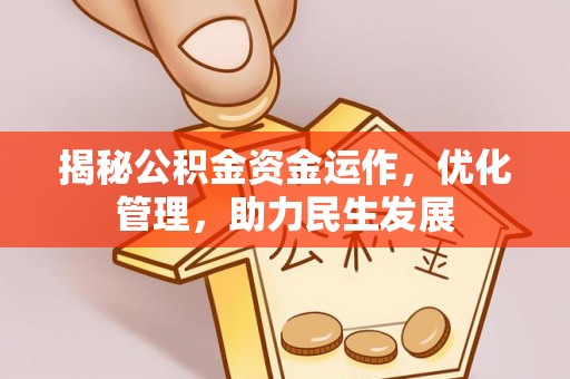 元阳揭秘公积金资金运作，优化管理，助力民生发展