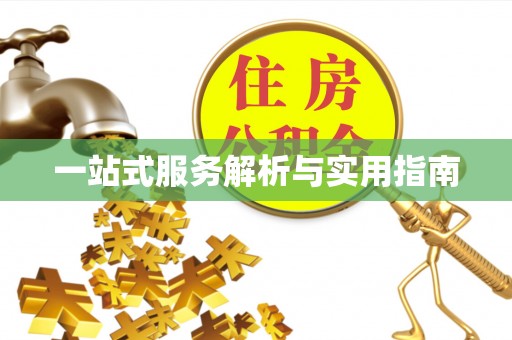 元阳一站式服务解析与实用指南