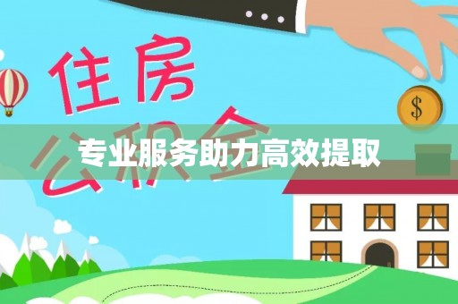 元阳专业服务助力高效提取