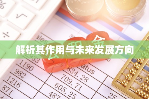 元阳解析其作用与未来发展方向