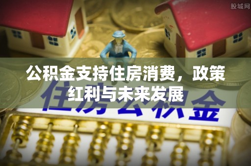 元阳公积金支持住房消费，政策红利与未来发展