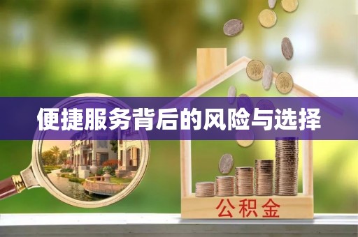 元阳便捷服务背后的风险与选择