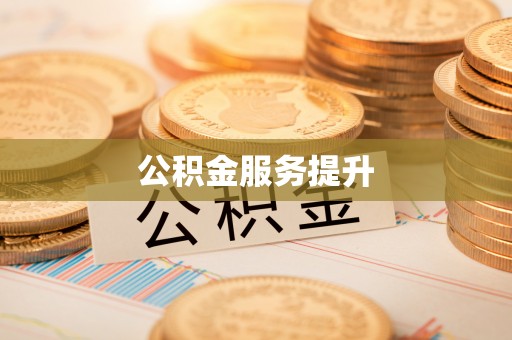 元阳公积金服务提升