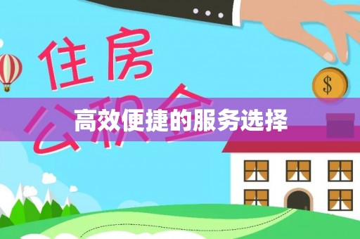 元阳高效便捷的服务选择
