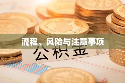 元阳流程、风险与注意事项