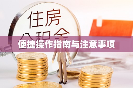 元阳便捷操作指南与注意事项