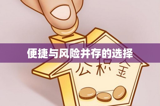 元阳便捷与风险并存的选择