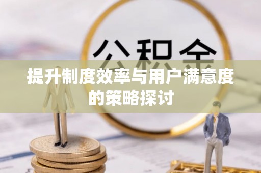 元阳提升制度效率与用户满意度的策略探讨