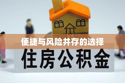 元阳便捷与风险并存的选择